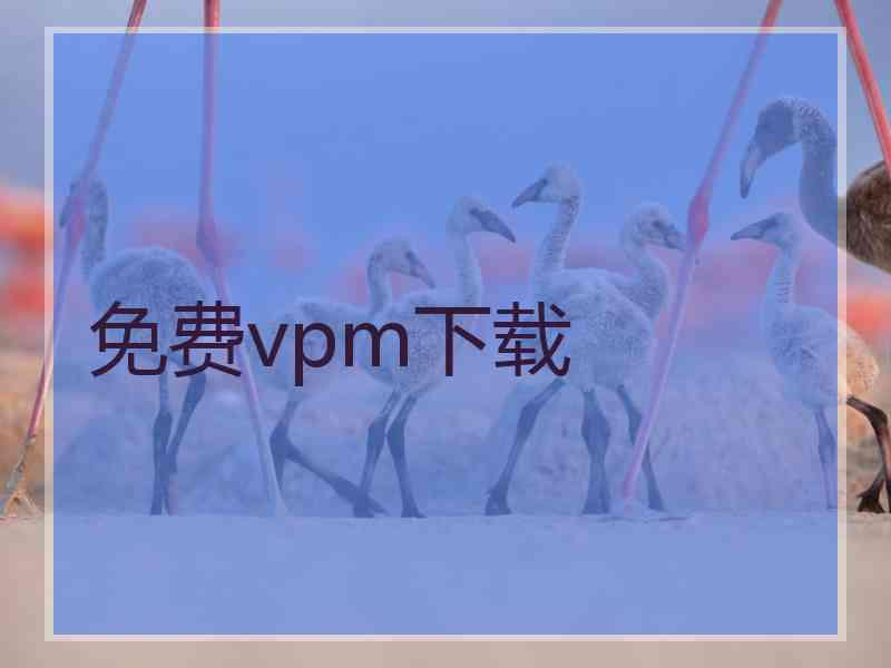 免费vpm下载