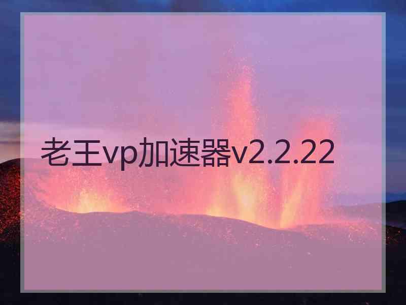 老王vp加速器v2.2.22