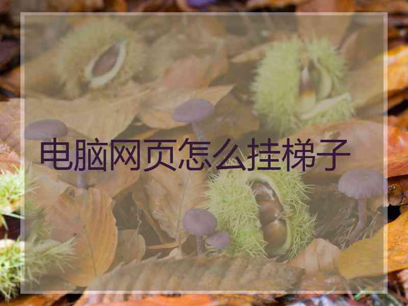 电脑网页怎么挂梯子