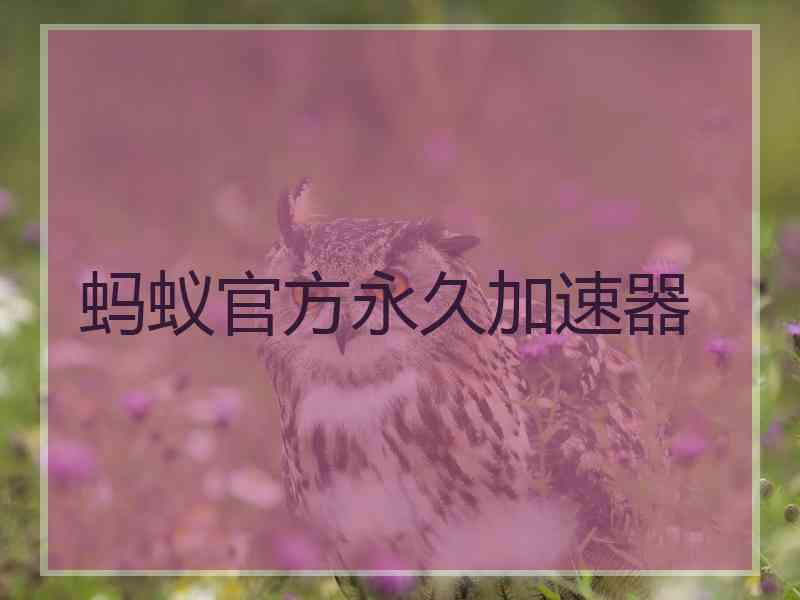 蚂蚁官方永久加速器