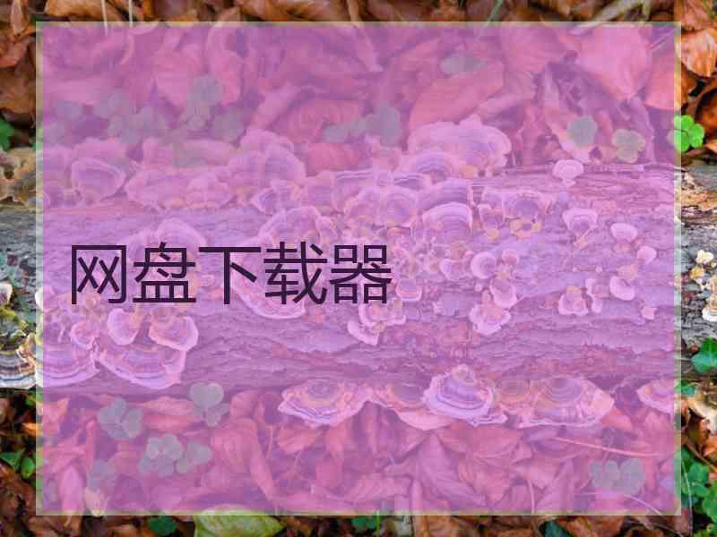 网盘下载器