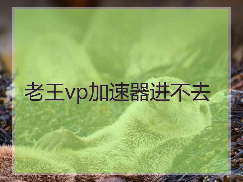 老王vp加速器进不去