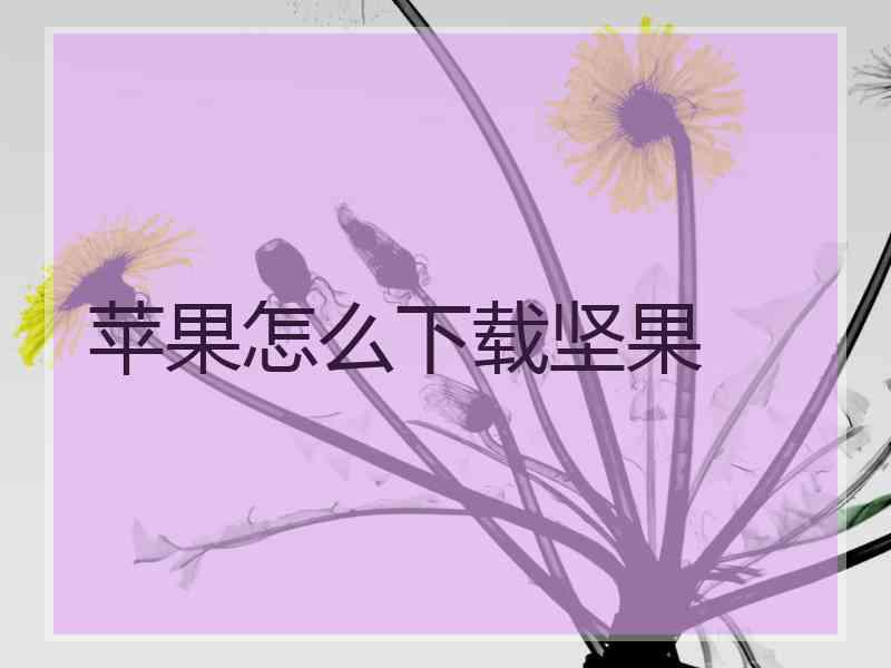 苹果怎么下载坚果