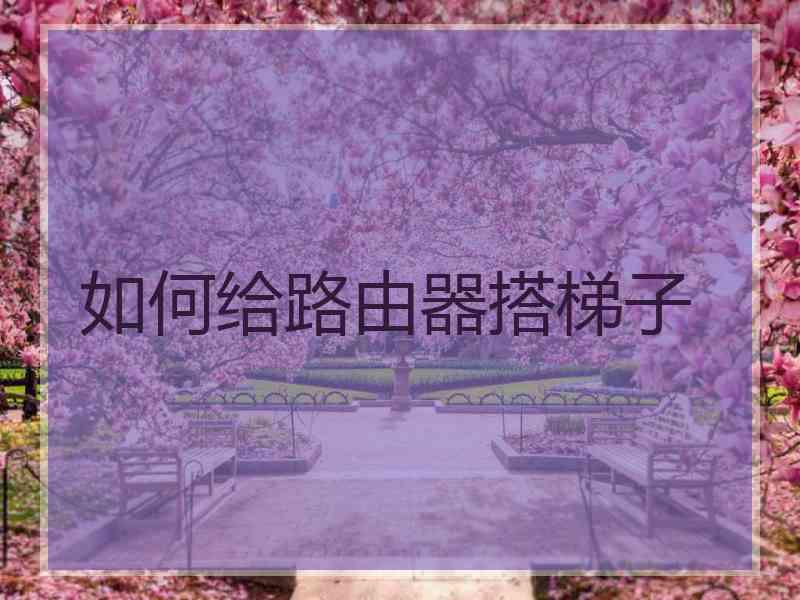 如何给路由器搭梯子