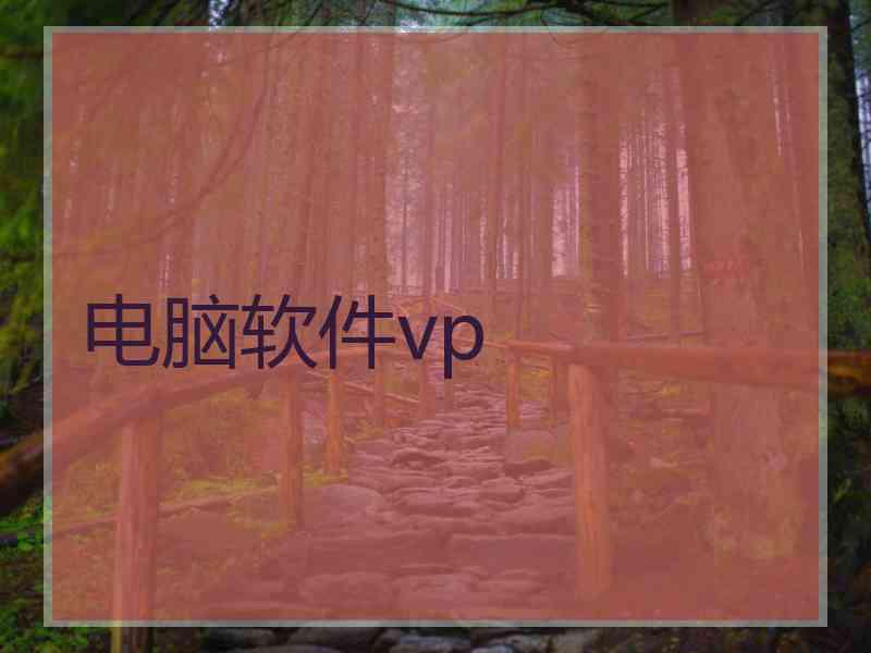 电脑软件vp