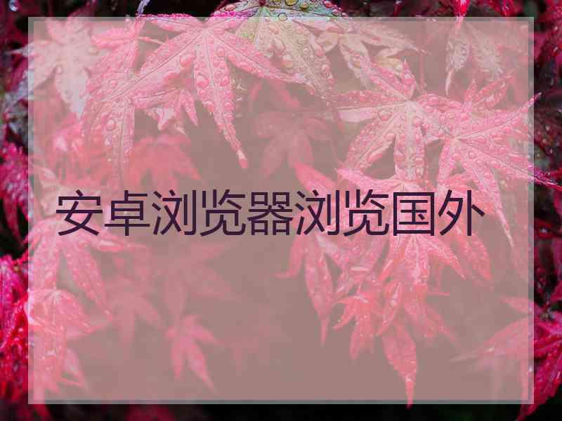 安卓浏览器浏览国外
