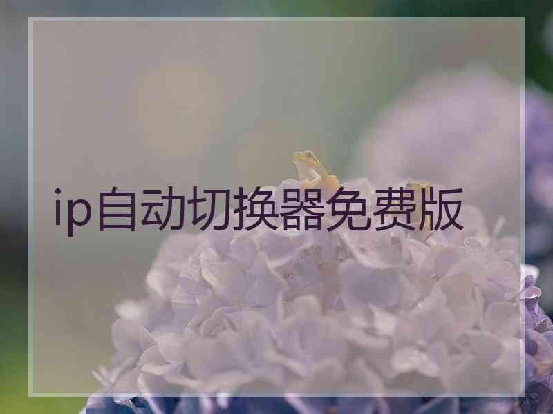 ip自动切换器免费版