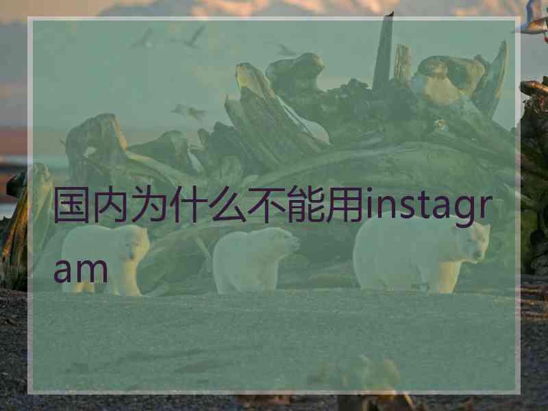 国内为什么不能用instagram