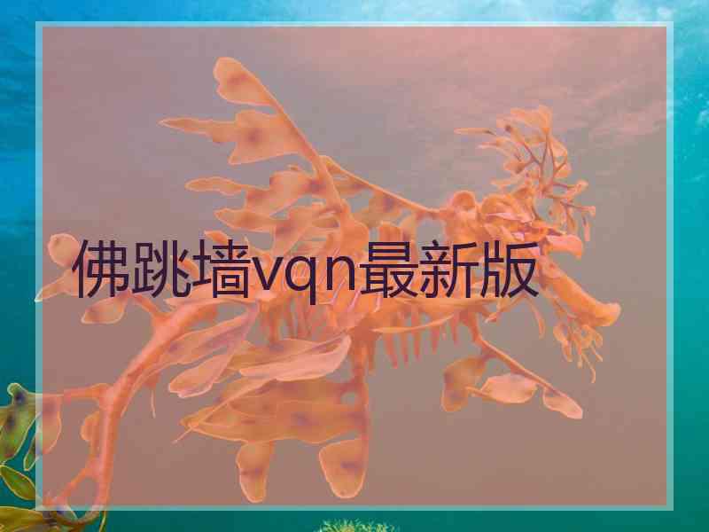 佛跳墙vqn最新版
