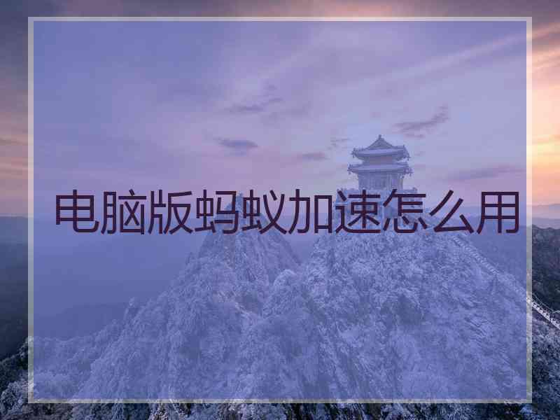电脑版蚂蚁加速怎么用