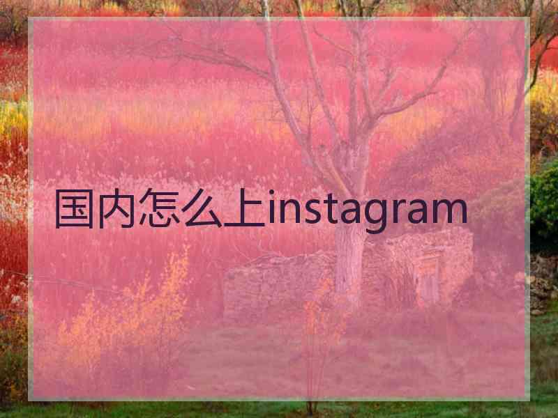 国内怎么上instagram