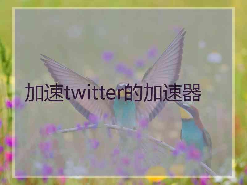 加速twitter的加速器