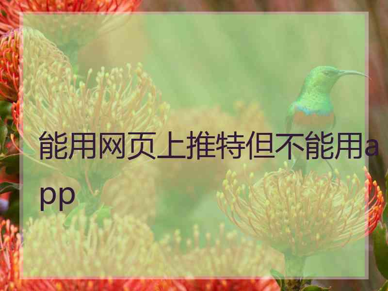 能用网页上推特但不能用app