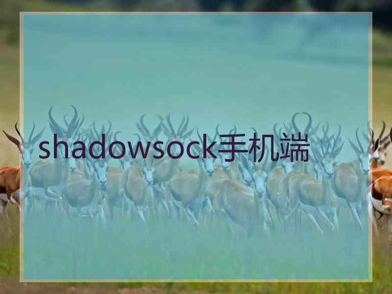 shadowsock手机端