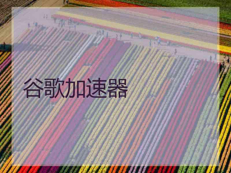 谷歌加速器
