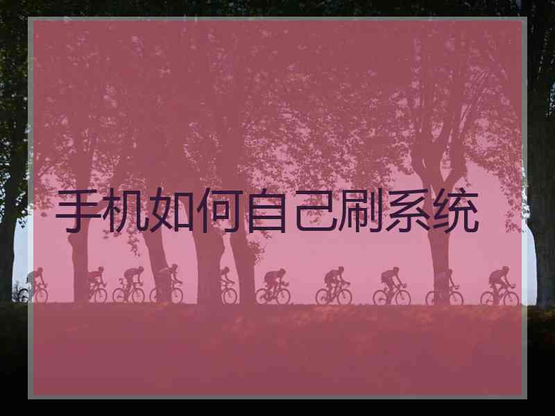 手机如何自己刷系统