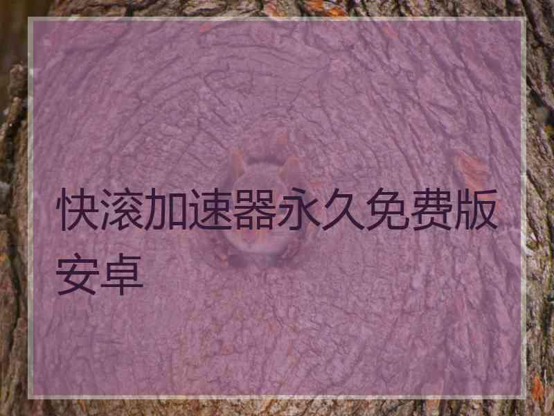 快滚加速器永久免费版安卓
