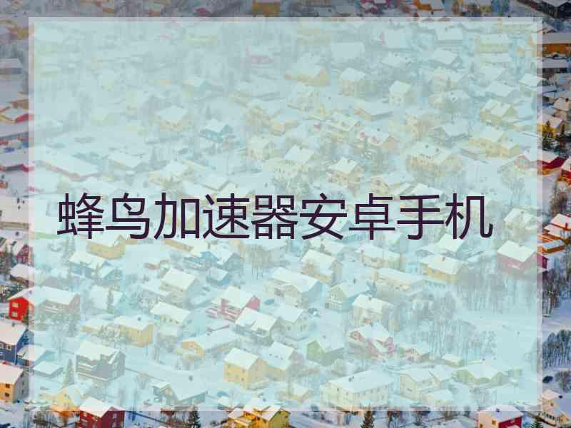蜂鸟加速器安卓手机