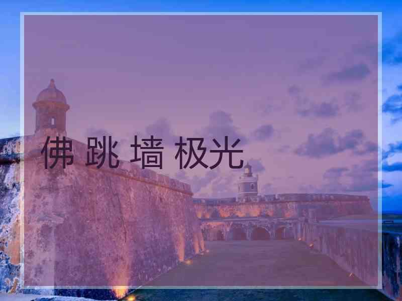 佛 跳 墙 极光