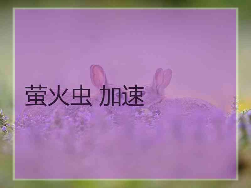 萤火虫 加速