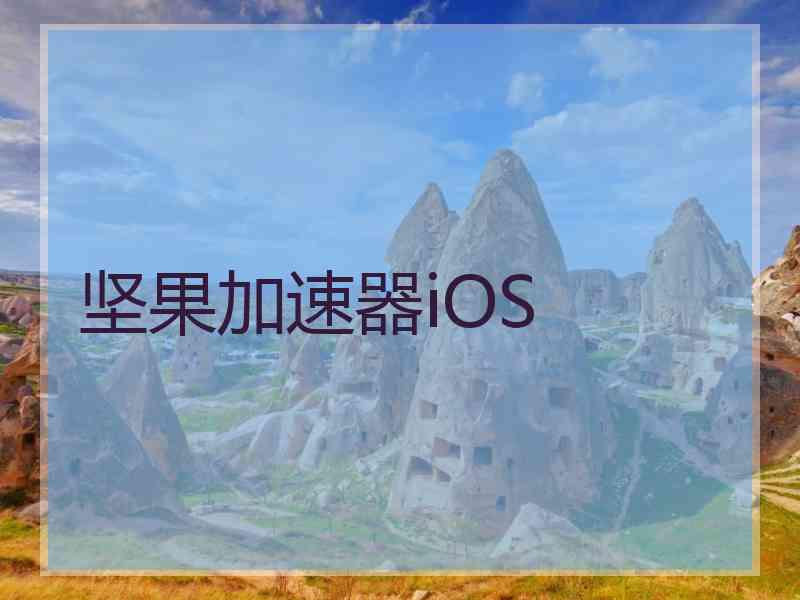 坚果加速器iOS