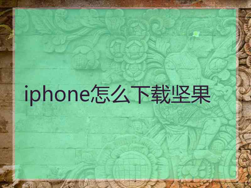 iphone怎么下载坚果