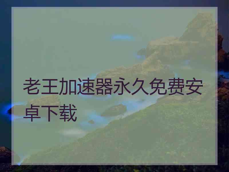 老王加速器永久免费安卓下载