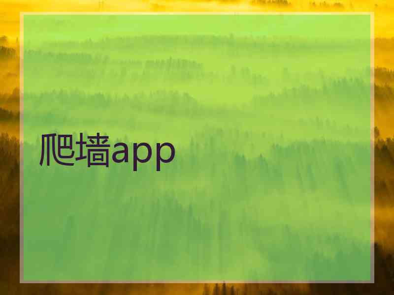 爬墙app