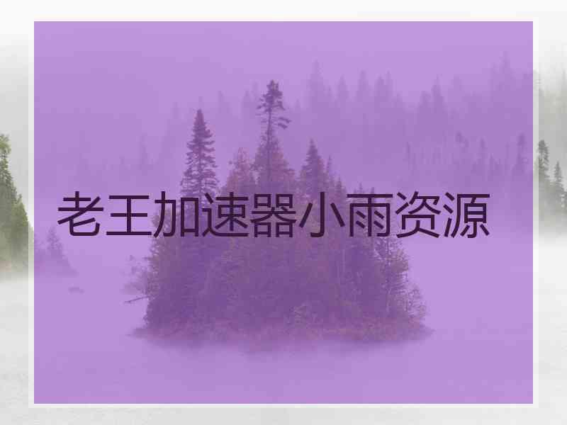 老王加速器小雨资源