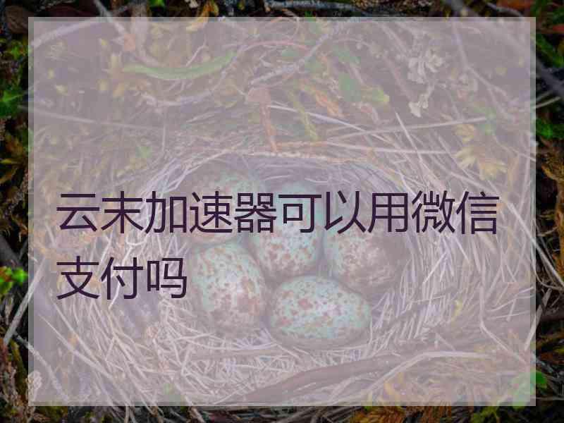云末加速器可以用微信支付吗