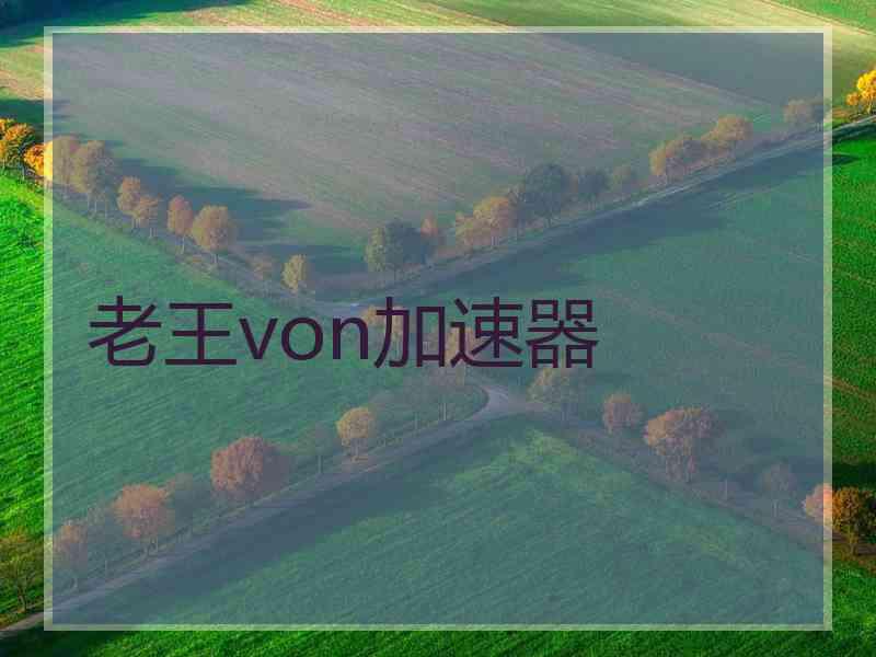 老王von加速器