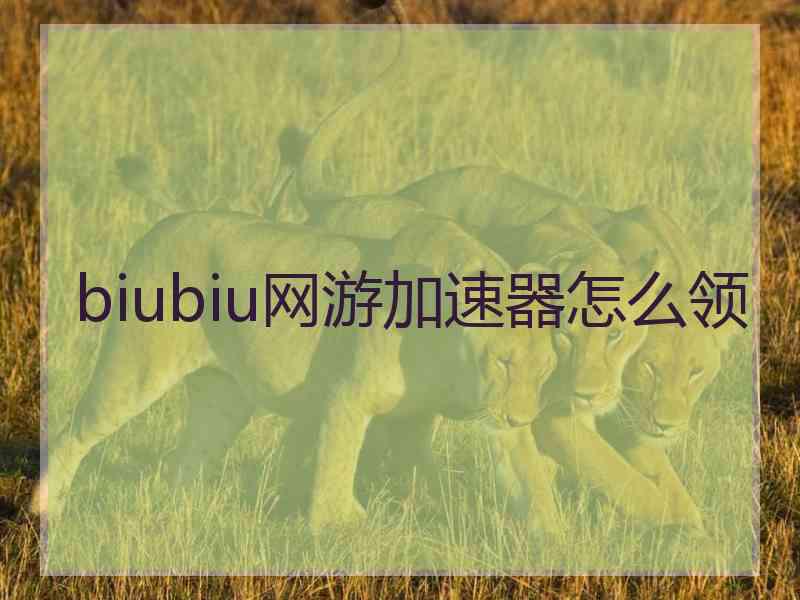 biubiu网游加速器怎么领