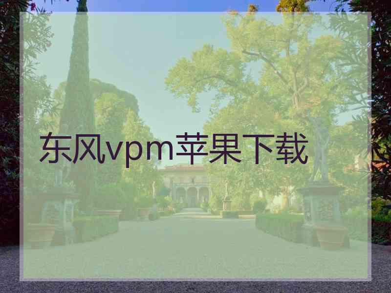 东风vpm苹果下载