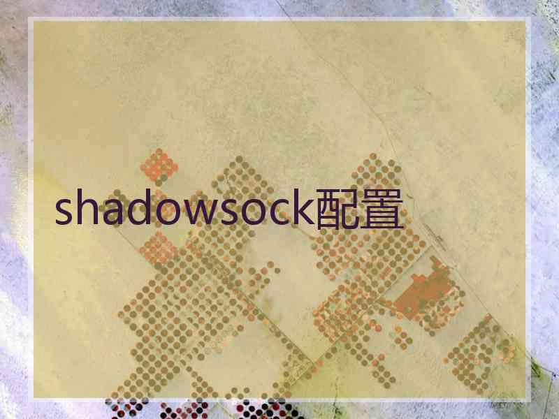 shadowsock配置
