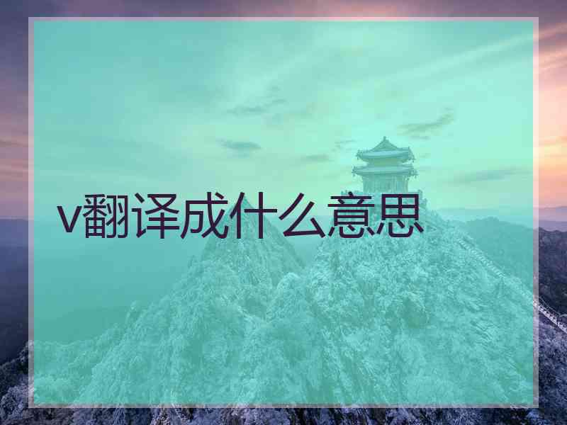 v翻译成什么意思