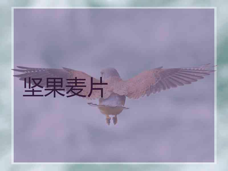 坚果麦片