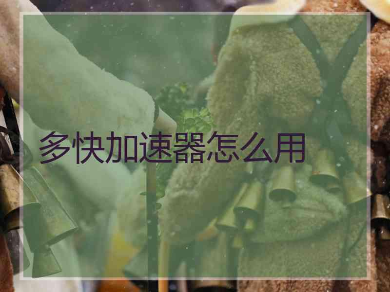 多快加速器怎么用