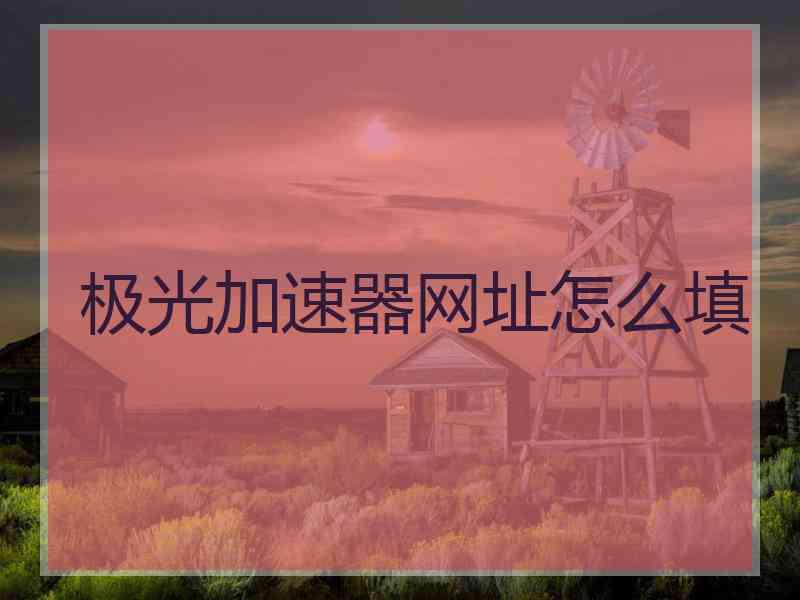 极光加速器网址怎么填