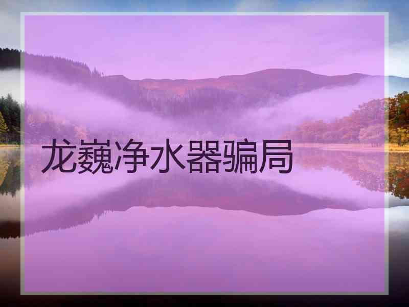 龙巍净水器骗局