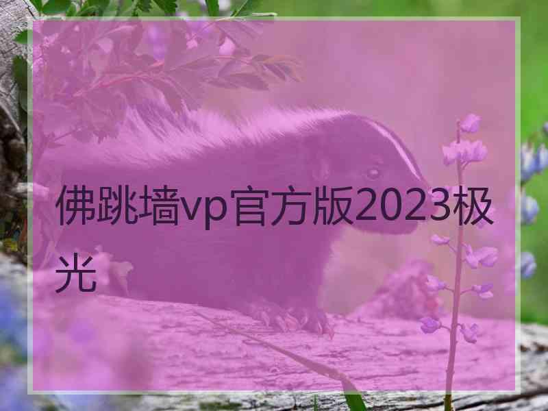 佛跳墙vp官方版2023极光