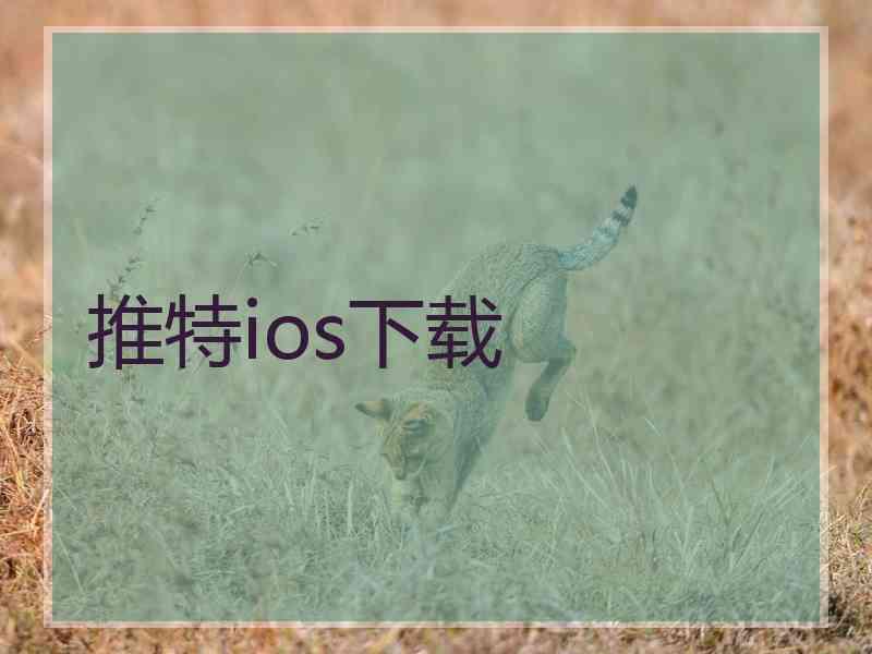 推特ios下载