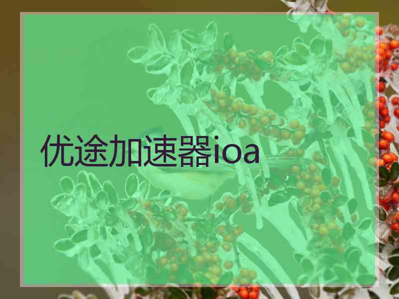 优途加速器ioa