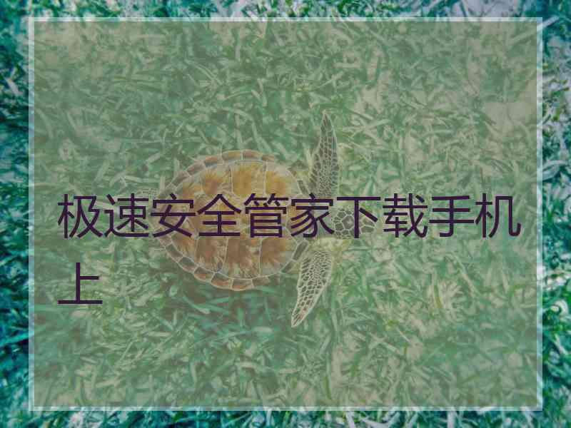 极速安全管家下载手机上