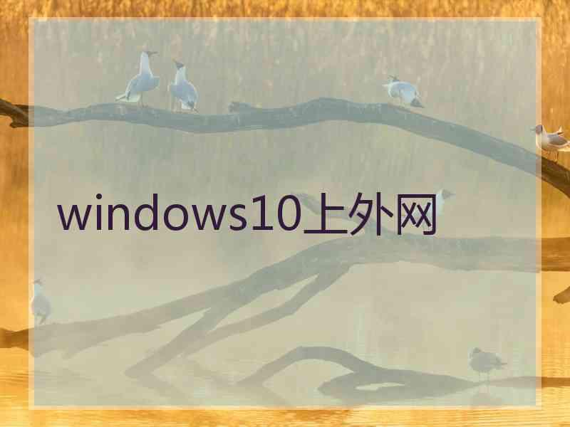 windows10上外网