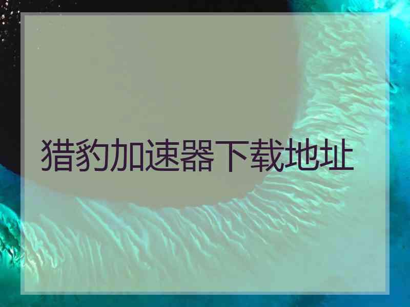 猎豹加速器下载地址