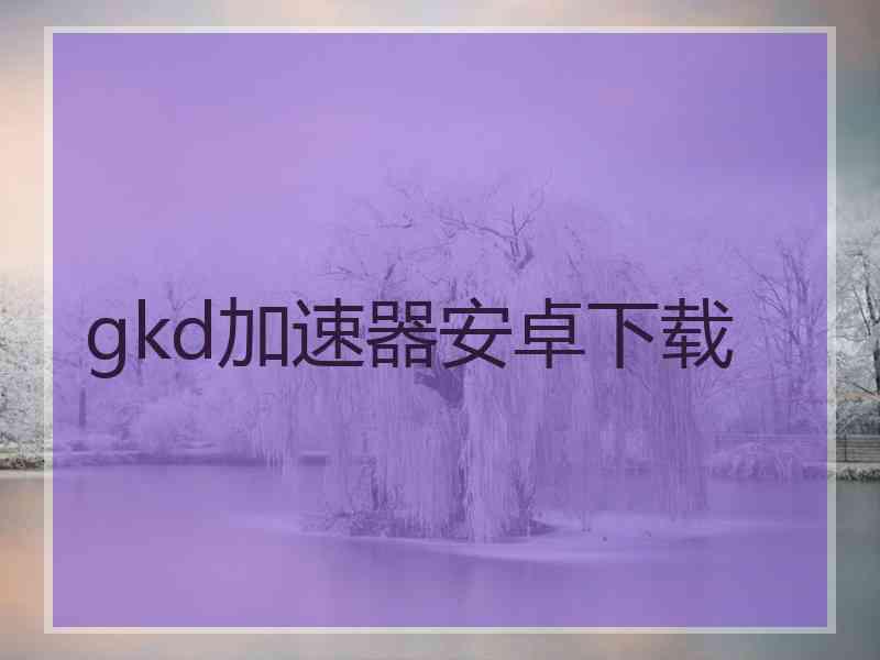 gkd加速器安卓下载