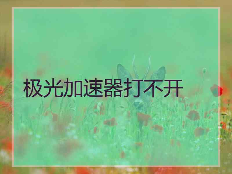 极光加速器打不开