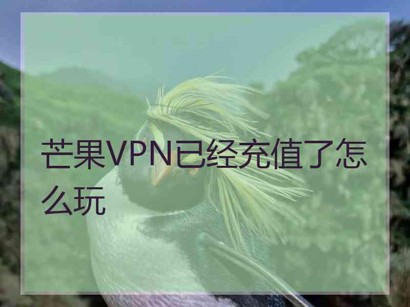芒果VPN已经充值了怎么玩