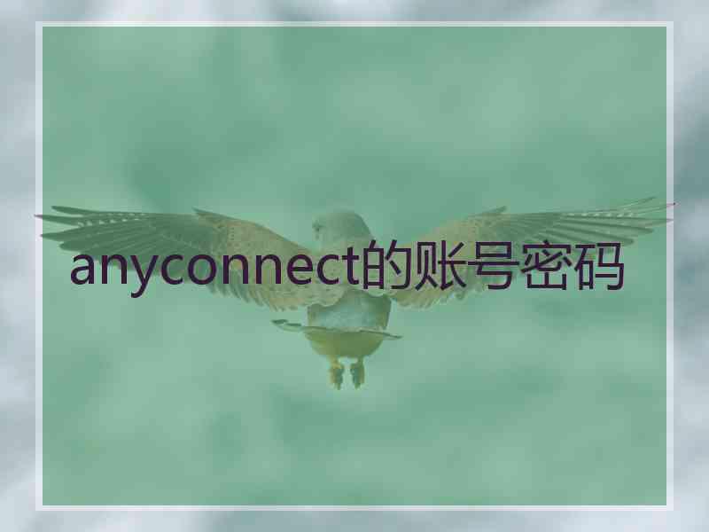 anyconnect的账号密码