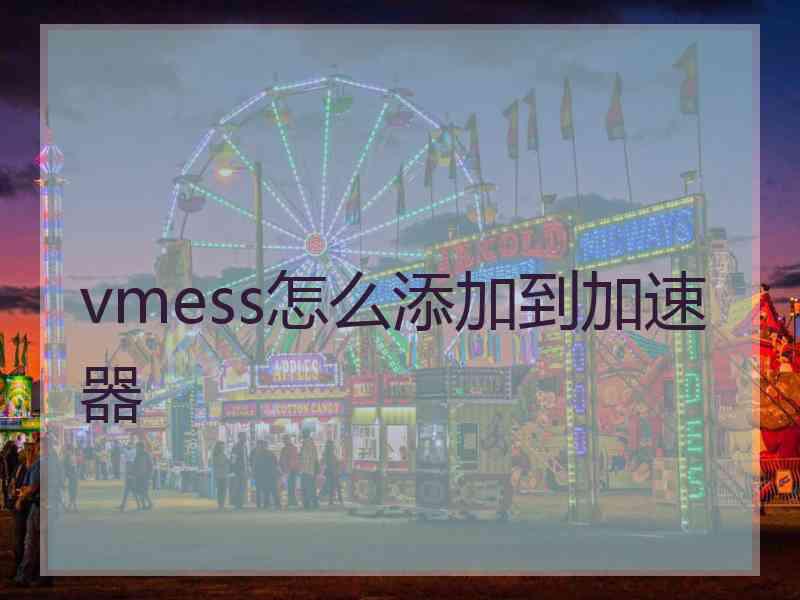 vmess怎么添加到加速器